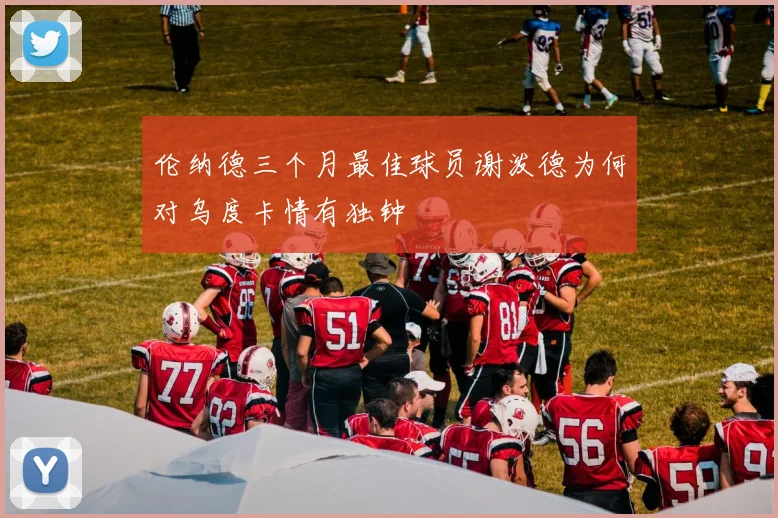 伦纳德三个月最佳球员谢泼德为何对乌度卡情有独钟