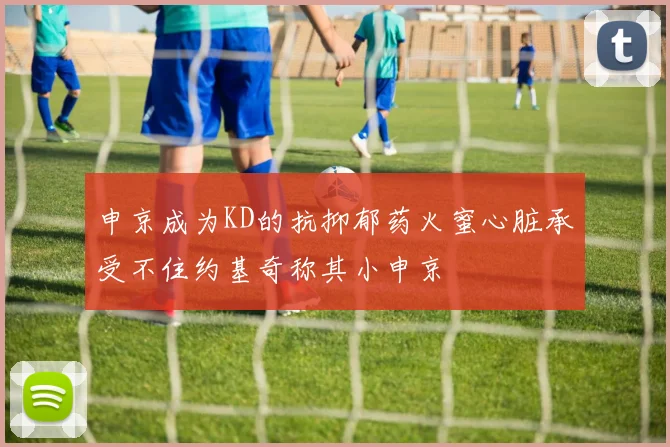 申京成为KD的抗抑郁药火蜜心脏承受不住约基奇称其小申京