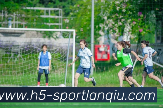 篮球赌注平台生态图